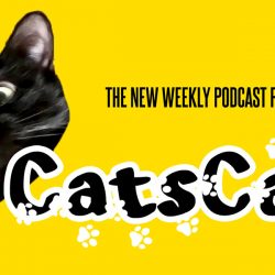 Cats Cast Banner